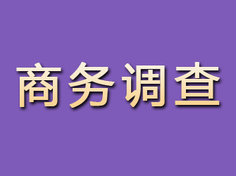 渑池商务调查